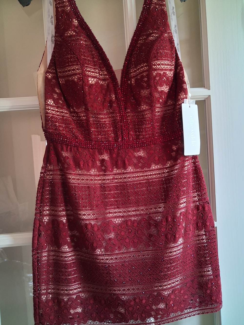 ellie wilde Wine Burgundy Lace Plunge V-Neck Mini Dress